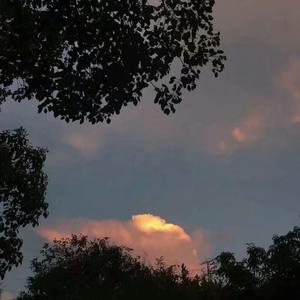 (H)-边潮喷边尿男男
